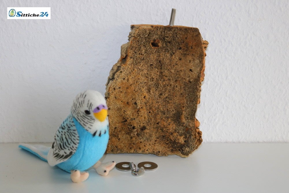 Sitzbrett aus Kork für kleine bis mittelgroße Vögel - 4242 | Sittiche24