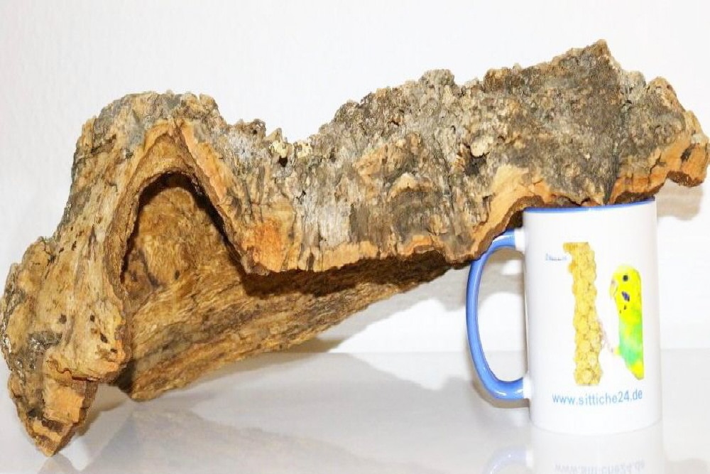 Echsen Terrarium Bedarf. Korkröhren sind