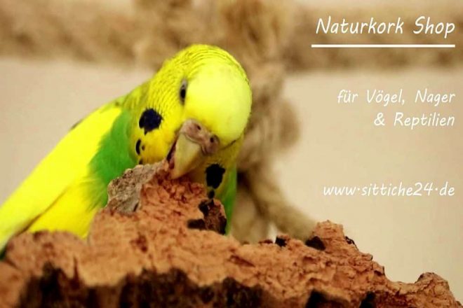 Naturkork Vogelzubehör. Die wertvolle Naturkork Rinde eignet sich ideal als gesundes Vogelzubehör für Vogelkäfige und Volieren!